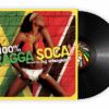 100% Ragga Soca (Volume 3)